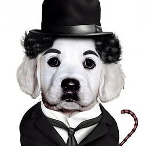 Meet your Posher, Mario